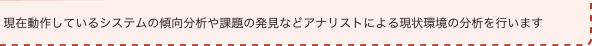 現在動作しているシステムの傾向分析や課題の発見などアナリストによる現状環境の分析を行います